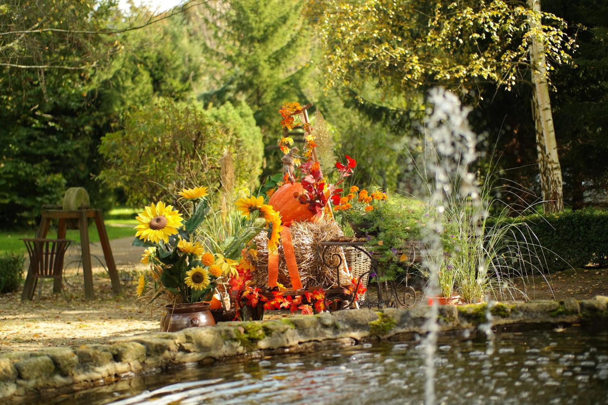 Harzer Feriengarten Quedlinburg Dış mekan fotoğraf
