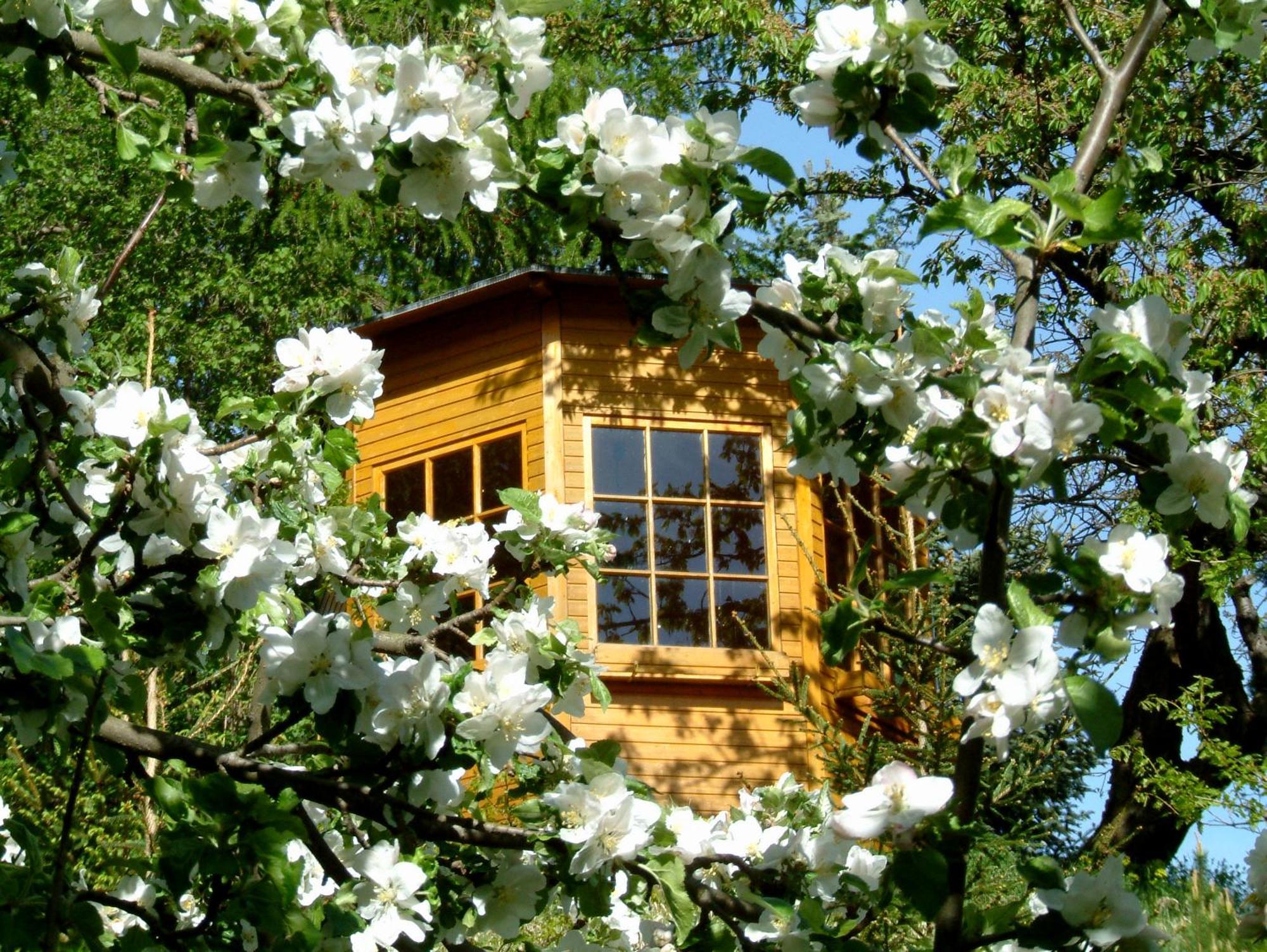 Harzer Feriengarten Quedlinburg Dış mekan fotoğraf