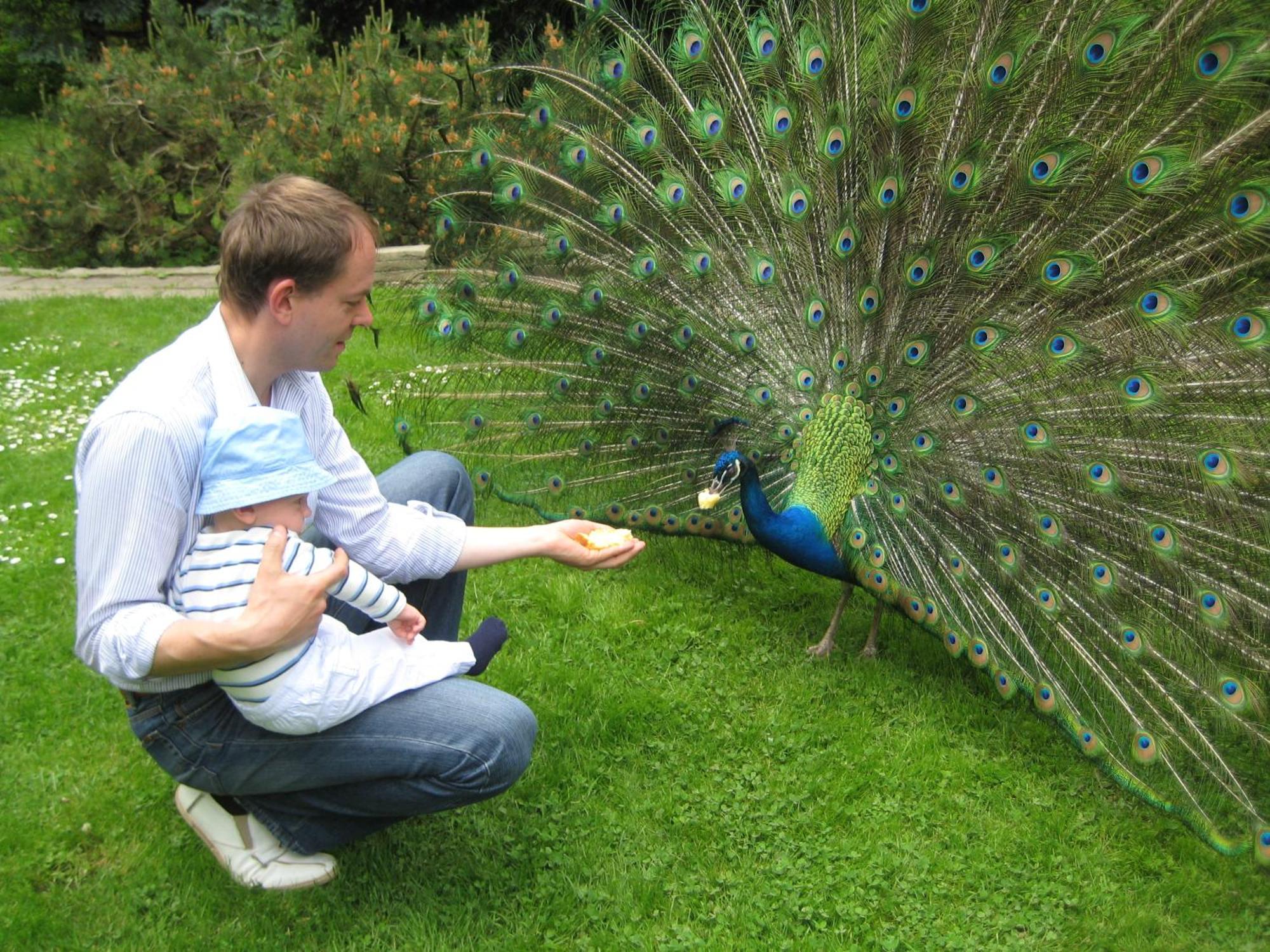 Harzer Feriengarten Quedlinburg Dış mekan fotoğraf