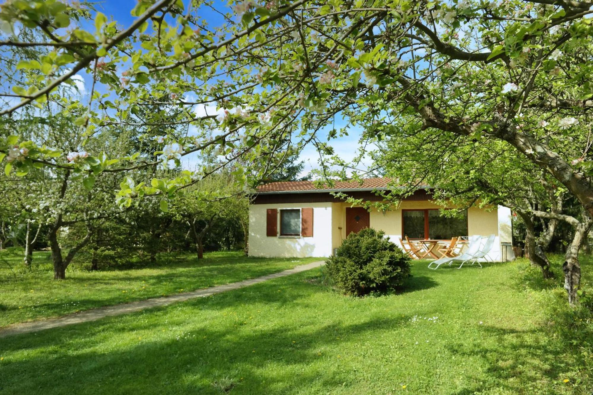 Harzer Feriengarten Quedlinburg Dış mekan fotoğraf