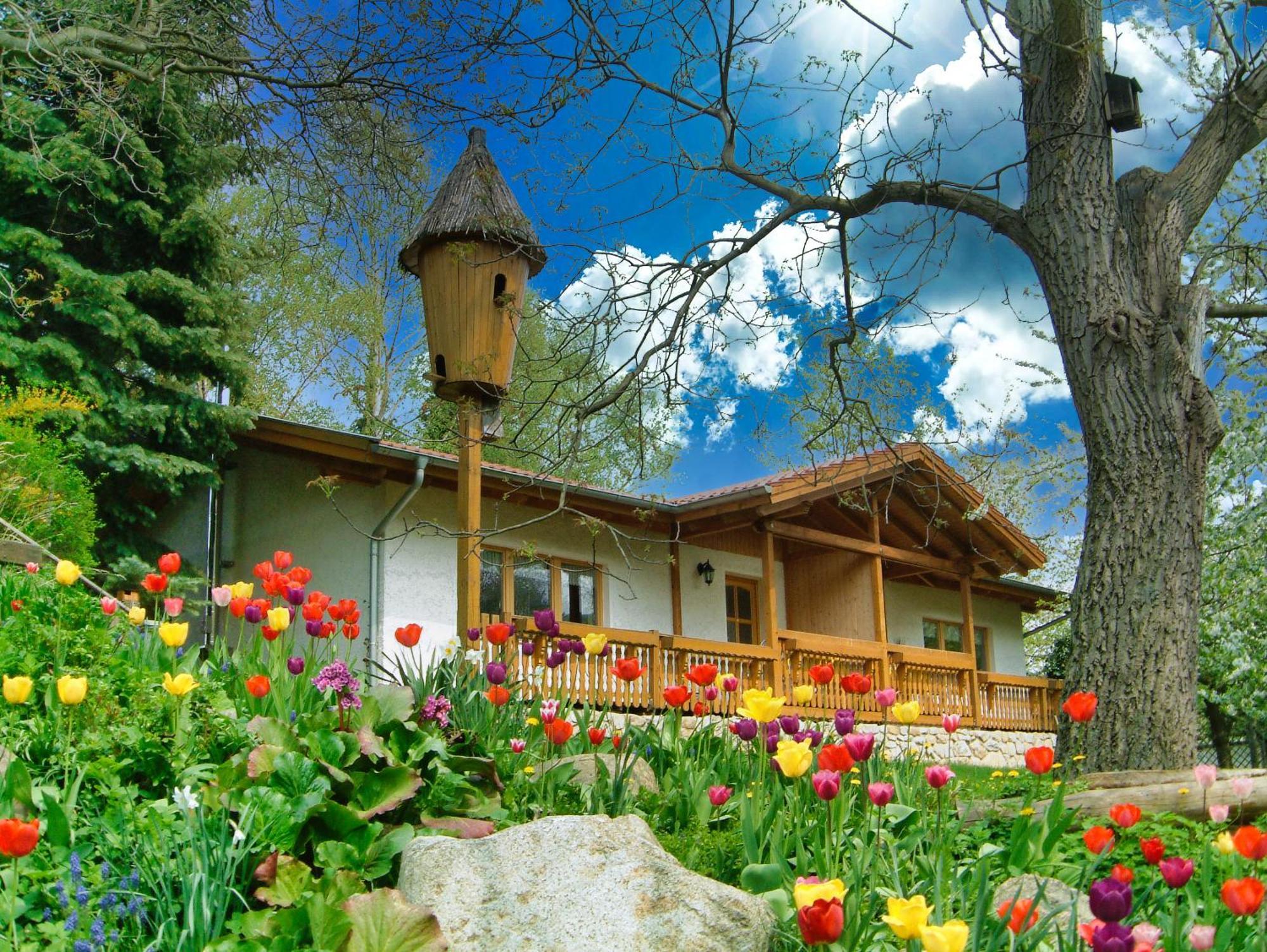 Harzer Feriengarten Quedlinburg Dış mekan fotoğraf